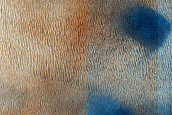 Dune Field