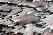 North Polar Residual Ice and Defrosting Dunes