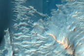 Dune Field