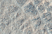 Polygons in Deuteronilus Mensae