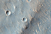 Maja Valles
