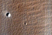 Terrain Sample