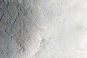 Terrain Sample