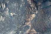 Terrain Sample
