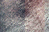 Terrain Sample