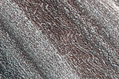 Terrain Sample