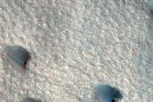 Dune Monitoring