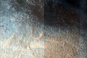 Dune Field
