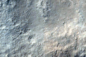 Terrain Sample