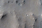 Candidate Fresh Crater Cluster
