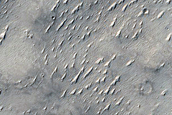 Monitoring Recent Impact Site