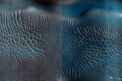 Dune Monitoring in Northern Mid-Latitude Crater