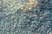 Terrain Sample