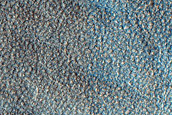 Terrain Sample