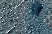 Dune Field
