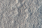 Adamas Labyrinthus