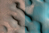 Dune Field
