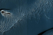 Dune Field