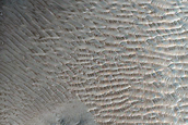 West Rim of Small Crater within Stege Crater