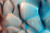 Dune Monitoring in Crater