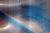 Dune Field