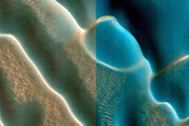 Dune Field