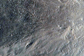 Gully Monitoring
