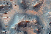 Dune Survey