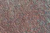 Terrain Sample
