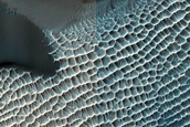 Dune Survey
