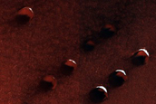 Dune Survey