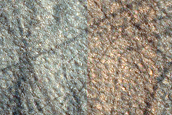 Dune Monitoring