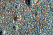 Terrain Sample