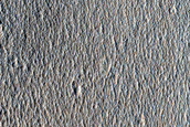Terrain Sample
