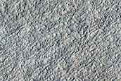 Amazonis Planitia Dust Devil Survey
