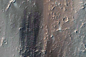 Plains East of Olympus Mons