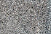 Unit Contact on Northern Plains