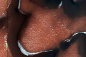 Terrain Sample