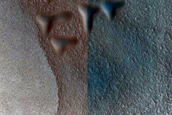 Dune Survey