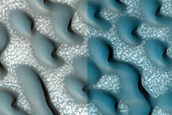 Dune Monitoring in Crater