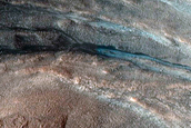 East Facing Gullies