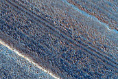 North Polar Layers Trough Exposure
