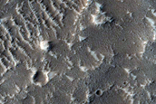 Terrain Sample