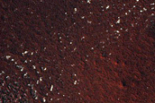 Pits in North Polar Residual Cap