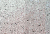Monitoring Rapid Albedo Changes in North Polar Layered Deposits