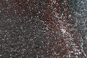 Terrain Sample
