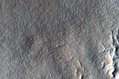 Gully Monitoring