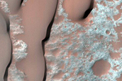 Dune Survey