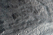 Gully Monitoring