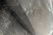 Candidate Recent Impact Site